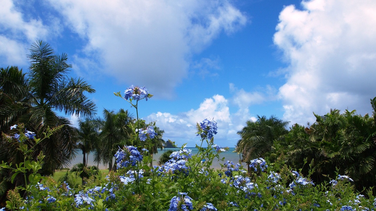 Photo of Others in Waikane