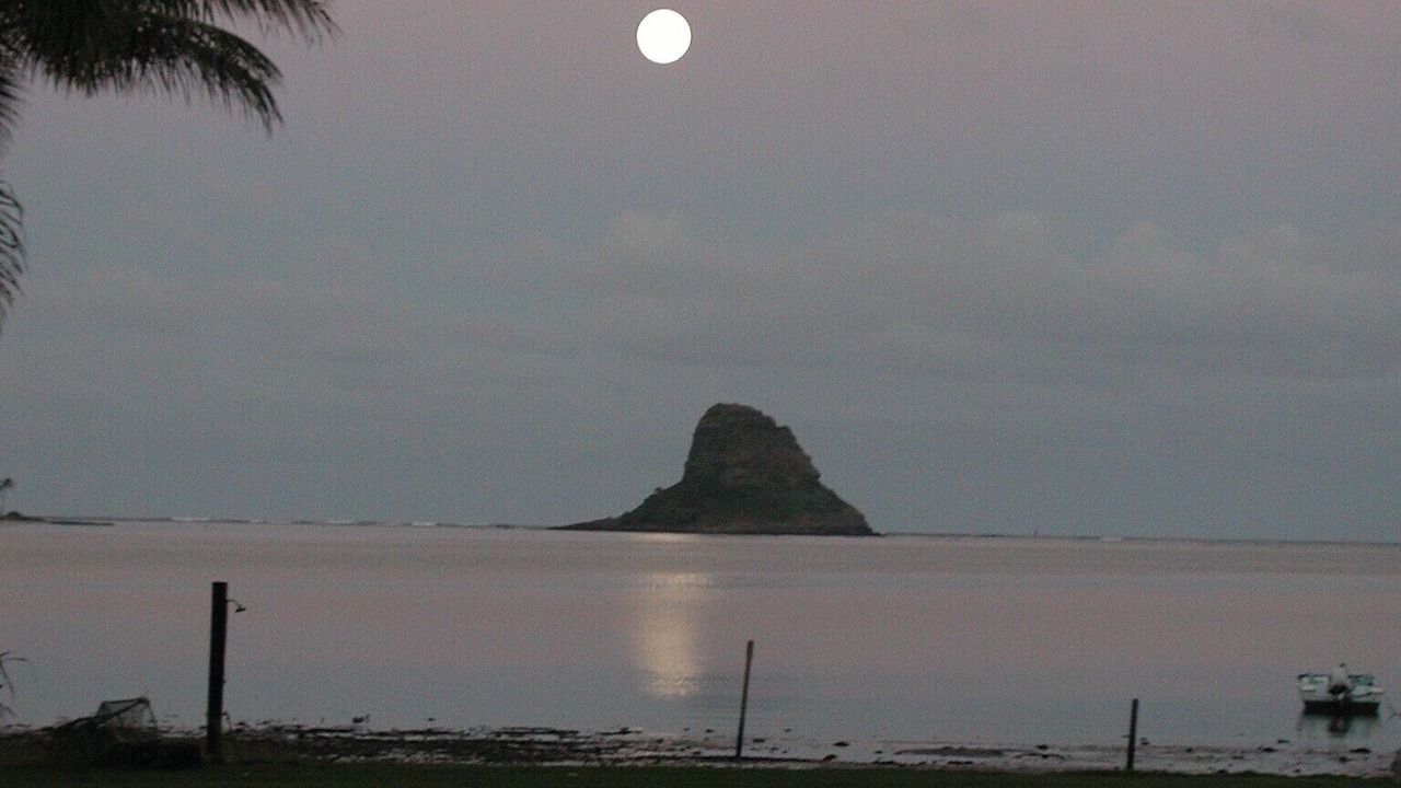 Photo of Others in Waikane