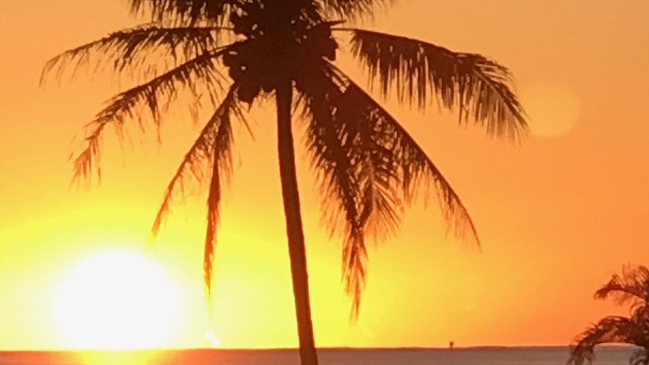 Photo of Others in Waikane