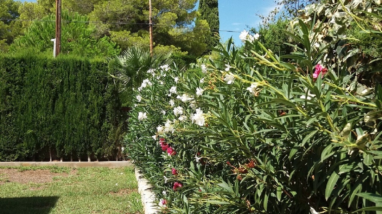 Photo of Outdoor in Les Tres Cales