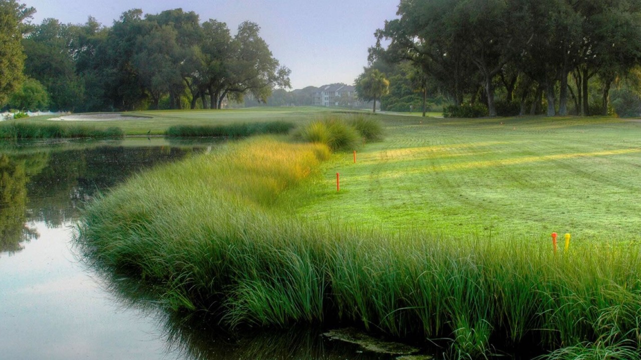 Photo of Others in Saint Simons Island