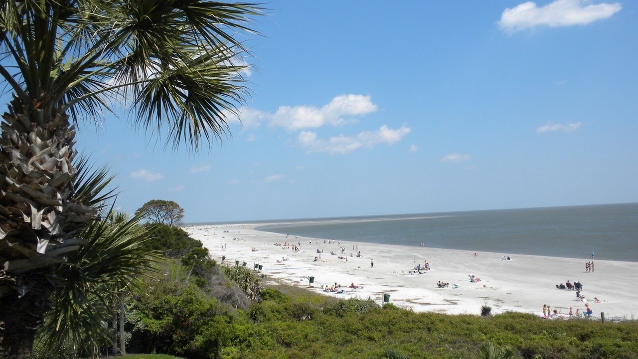 Photo of Others in Saint Simons Island