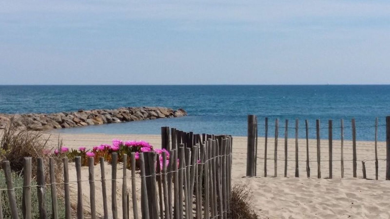 Photo of Others in Saint-Cyprien Plage