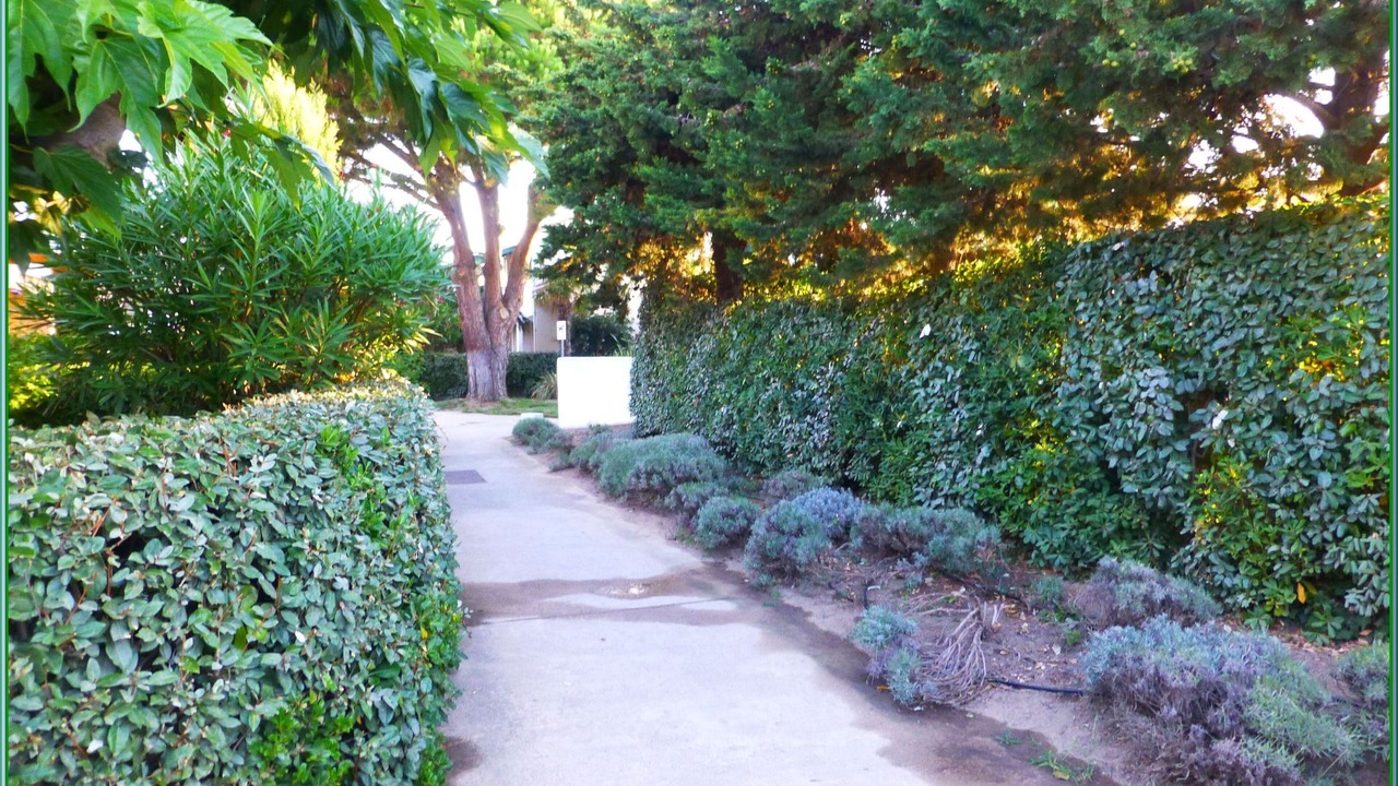 Photo of Outdoor in Saint-Cyprien Plage
