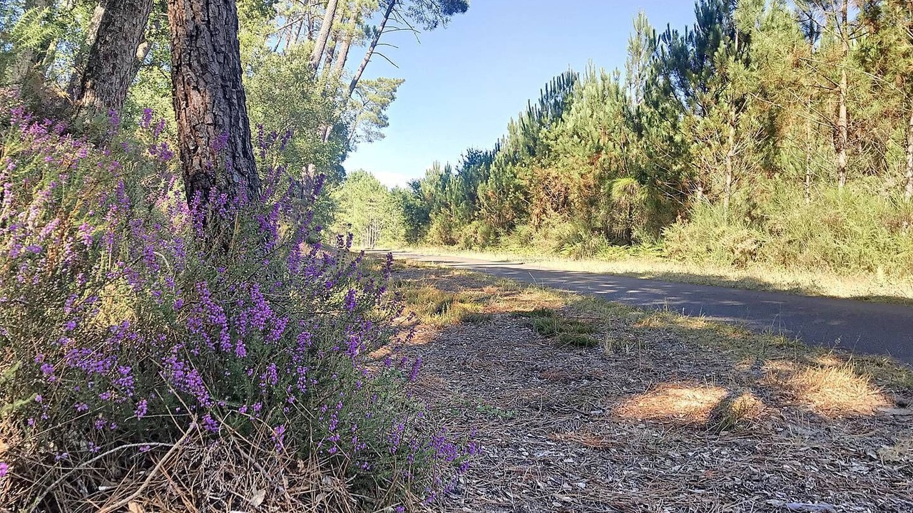 Photo of Outdoor in Messanges
