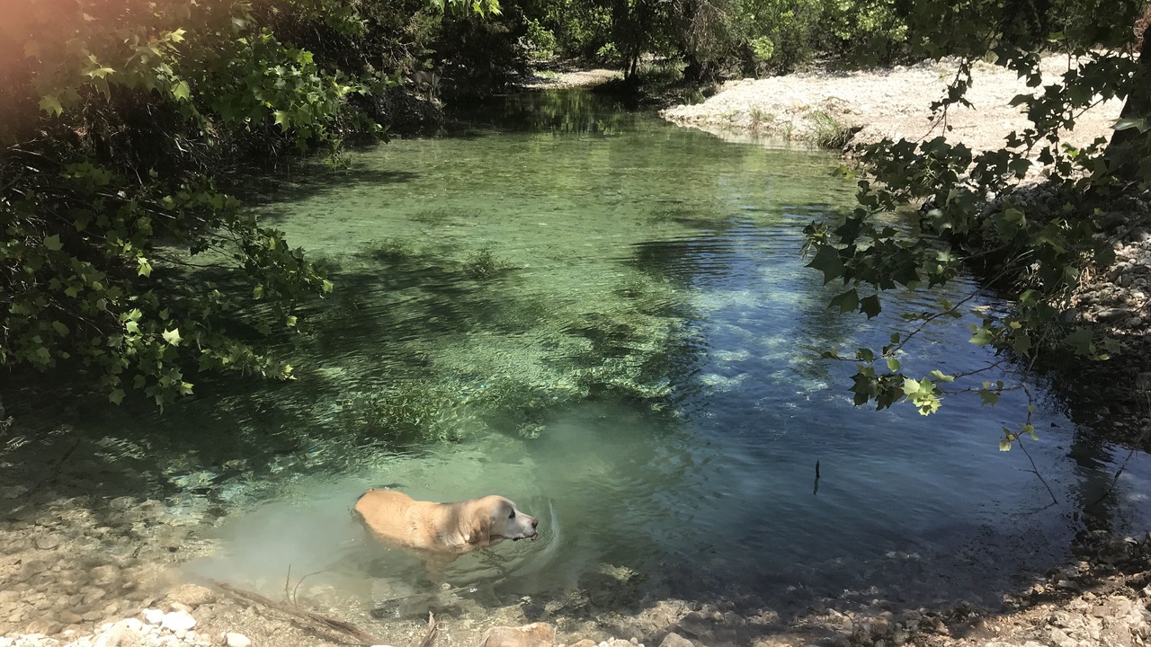 Photo of Others in Leakey