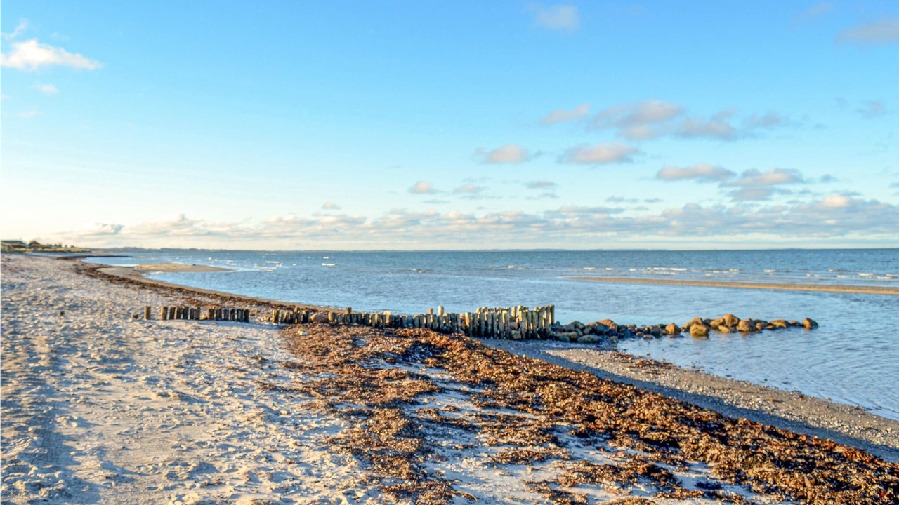 Photo of Others in Fjellerup