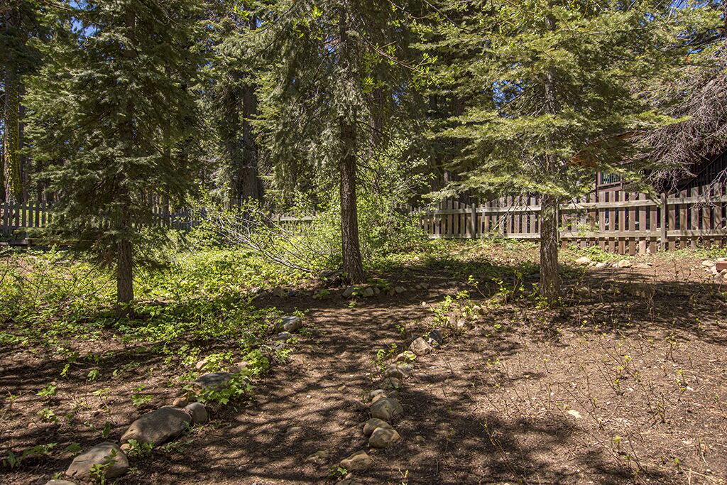 Photo of Outdoor in Tahoe City