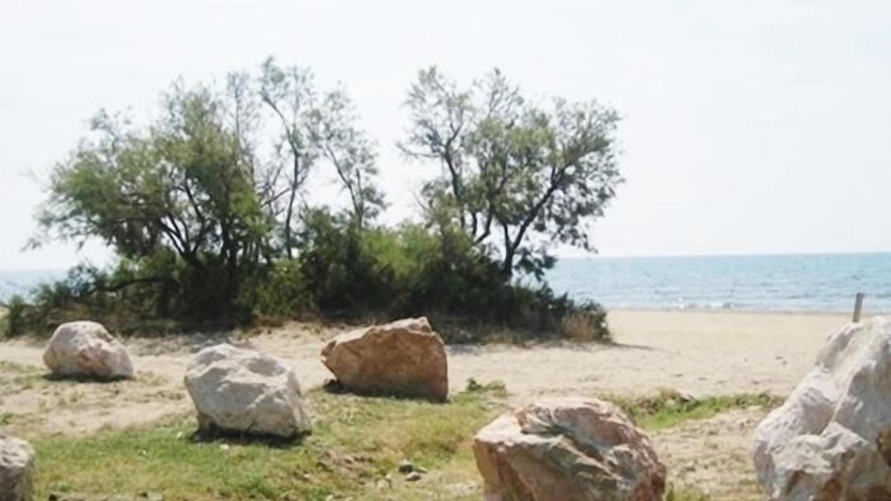 Photo of Others in Miami Platja