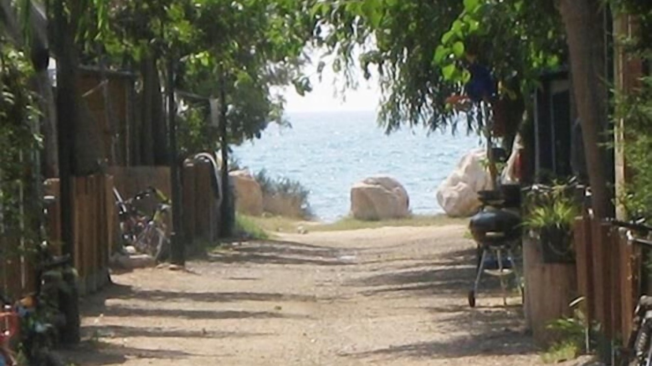 Photo of Others in Miami Platja
