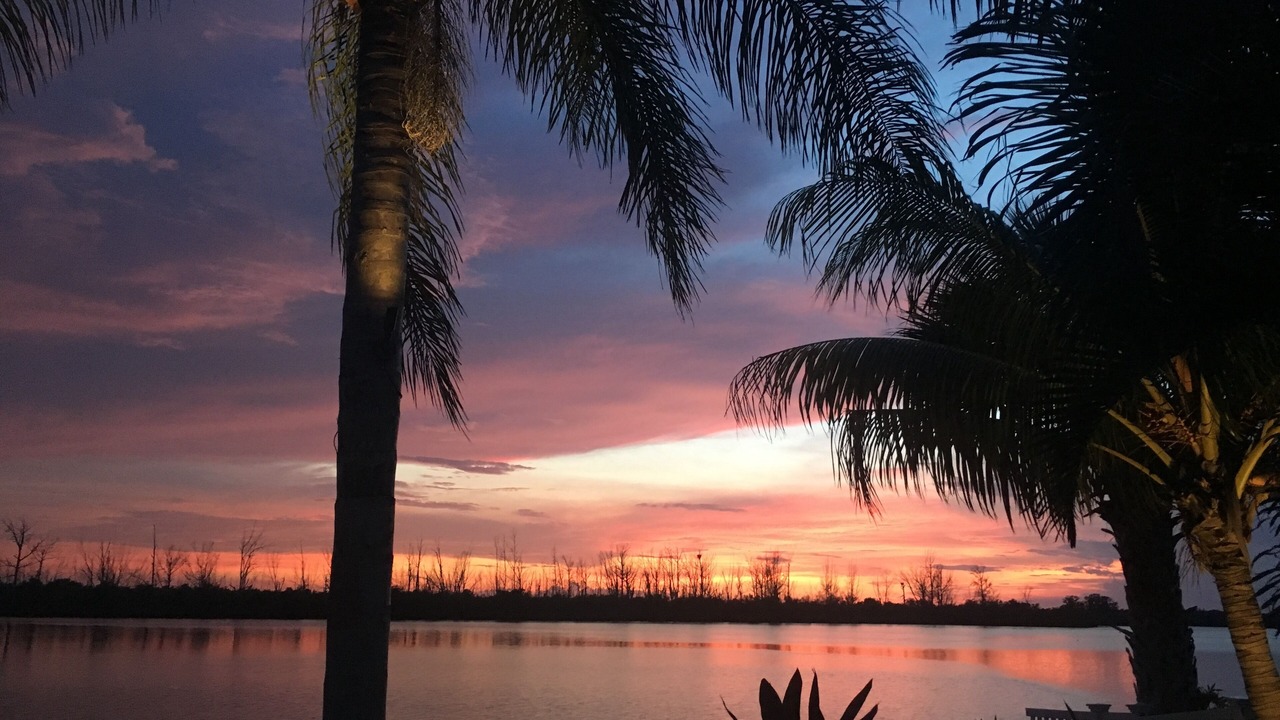 Photo of Outdoor in Sunnyland Beach