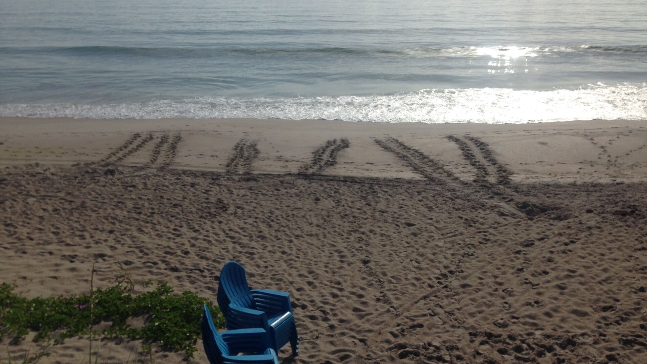 Photo of Others in Sunnyland Beach