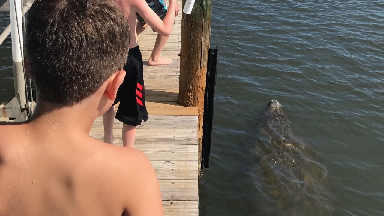 Photo of Outdoor in Sunnyland Beach