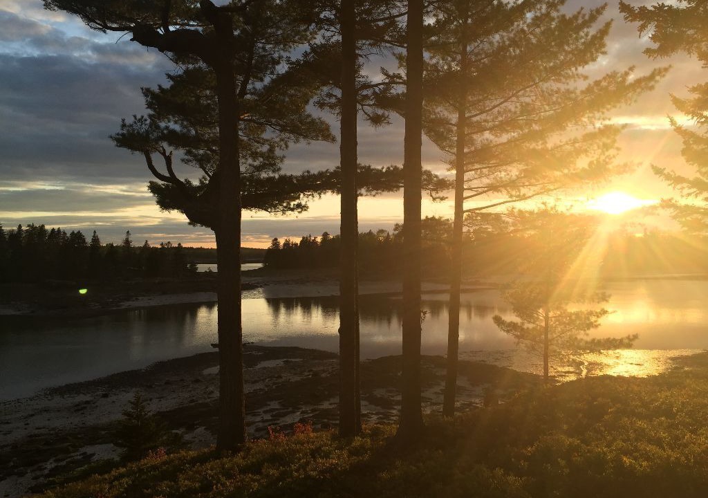Photo of Others in Lubec