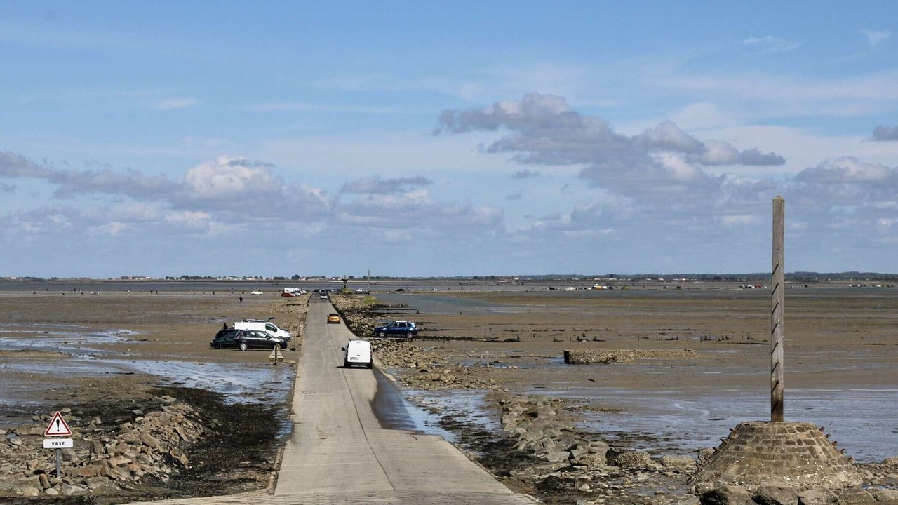 Photo of Outdoor in La Gueriniere