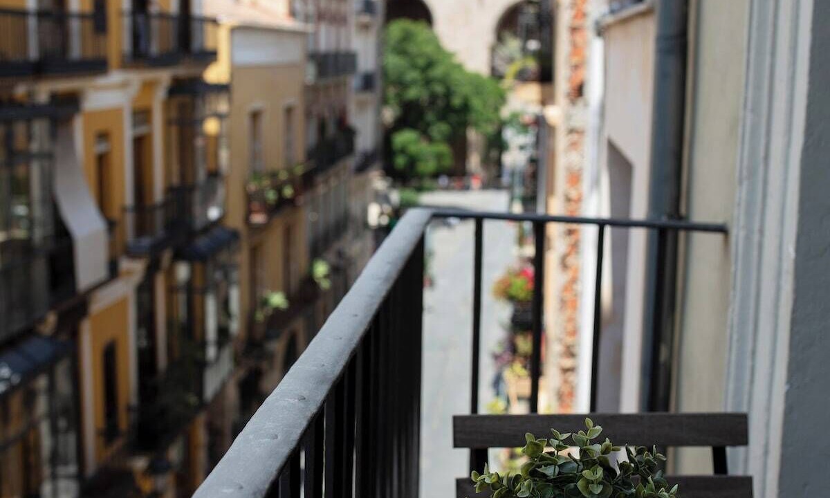 Photo of Outdoor in La Seu