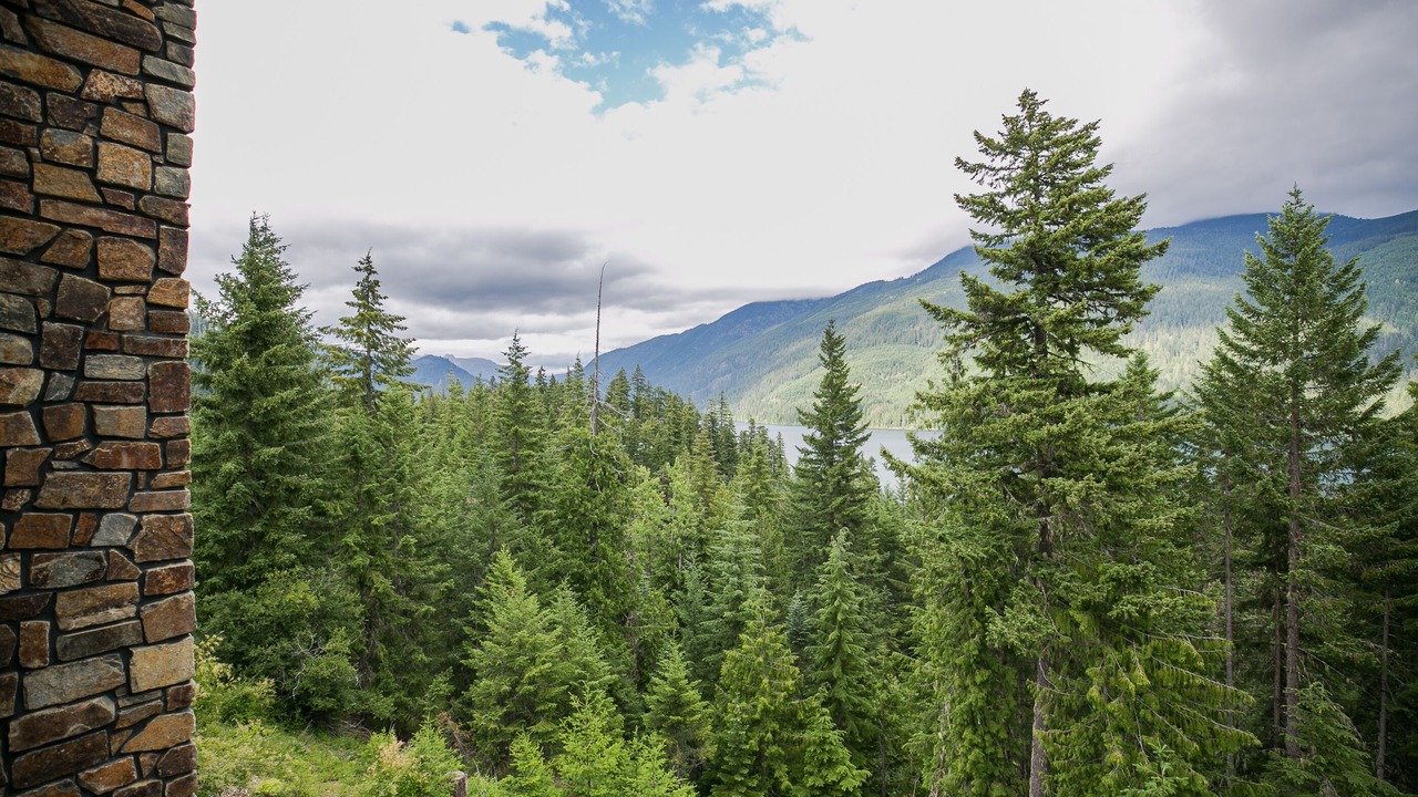 Photo of Outdoor in Easton