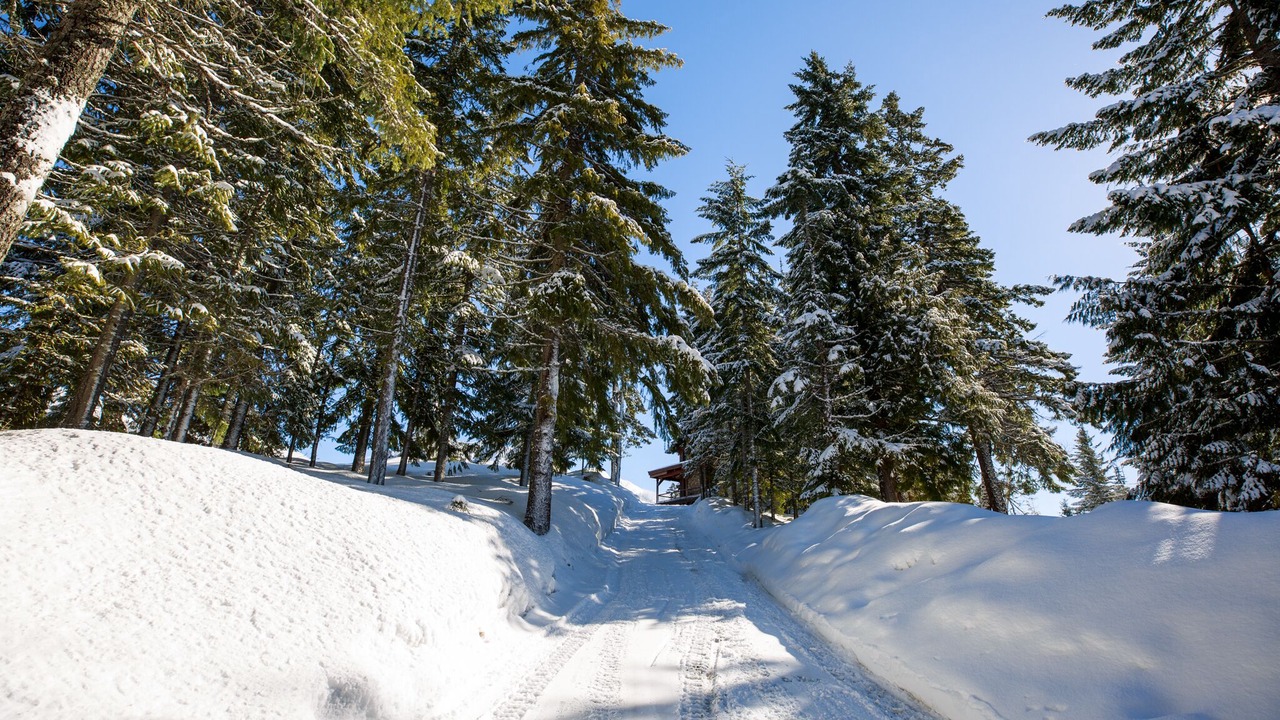 Photo of Others in Easton