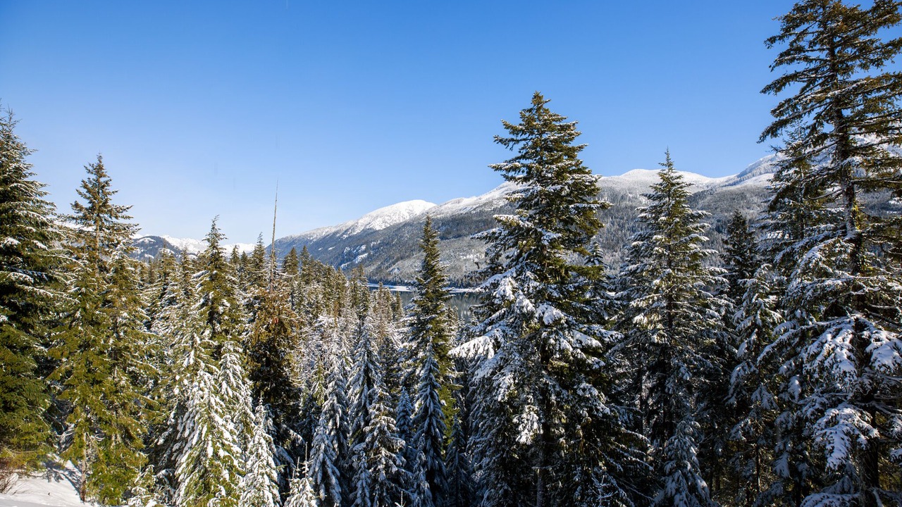 Photo of Outdoor in Easton