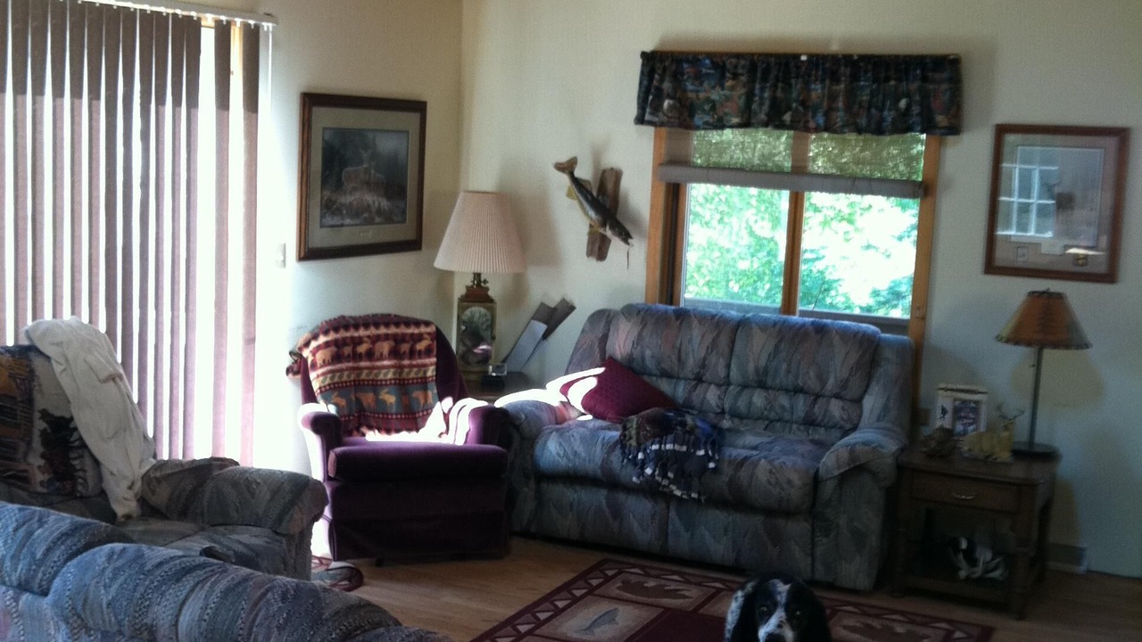 Photo of Livingroom in Felch