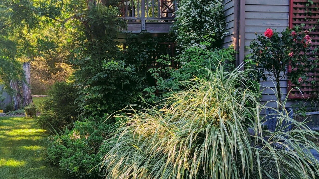 Photo of Patio Balcony in Woodstock