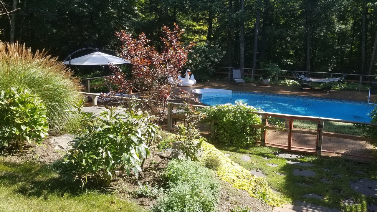 Photo of Others in Woodstock