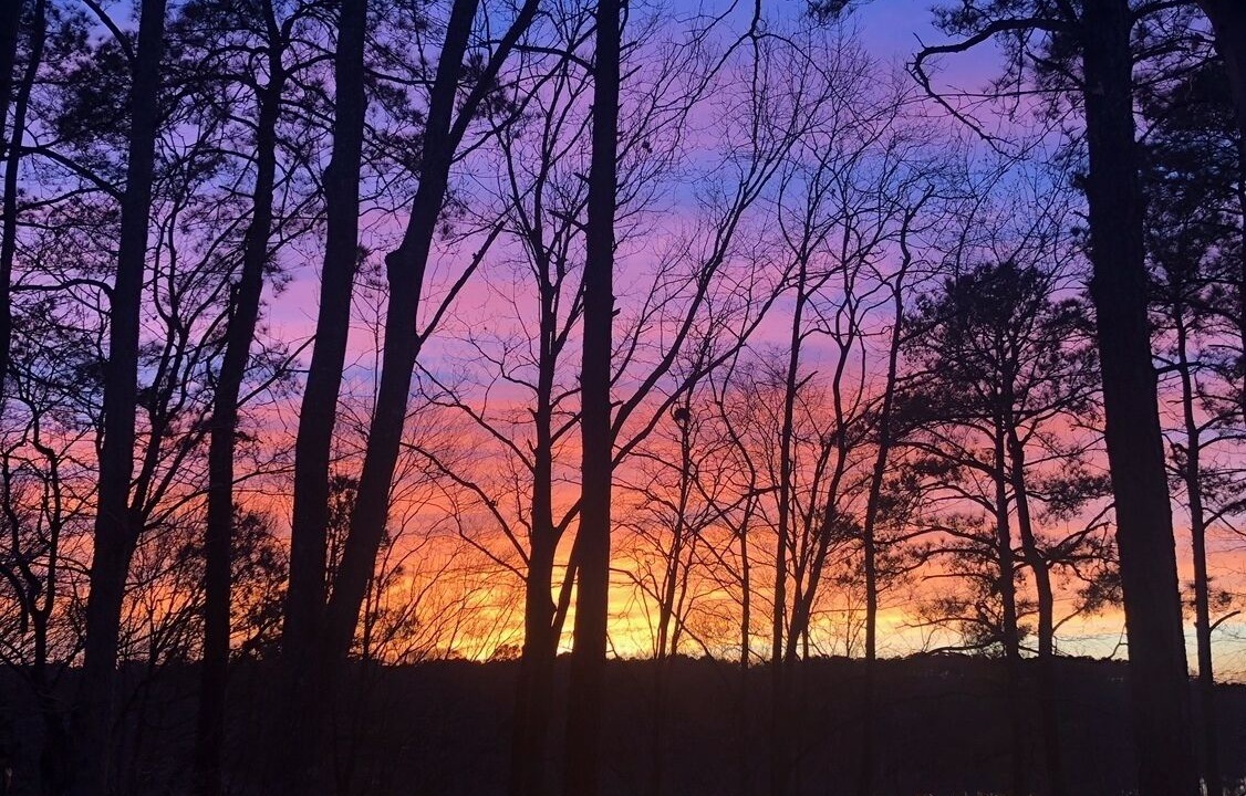 Photo of Outdoor in North Shore Acres