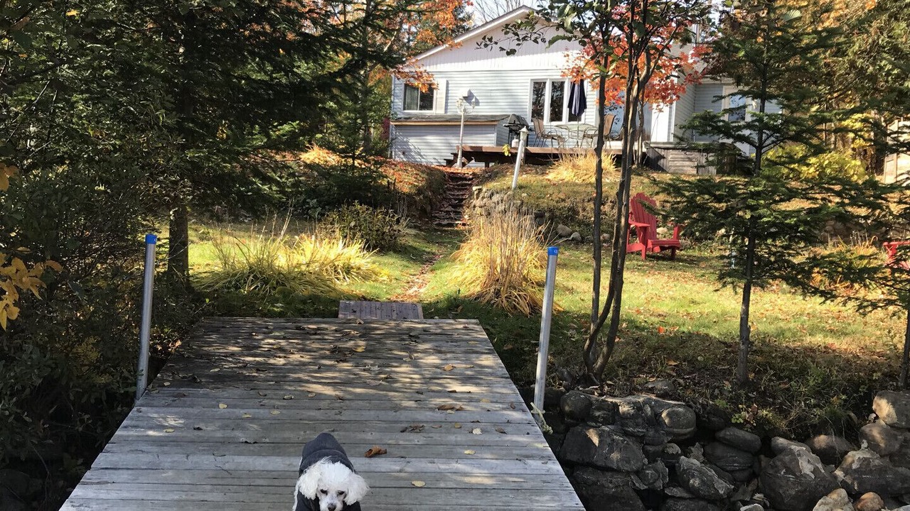 Photo of Outdoor in Amherst