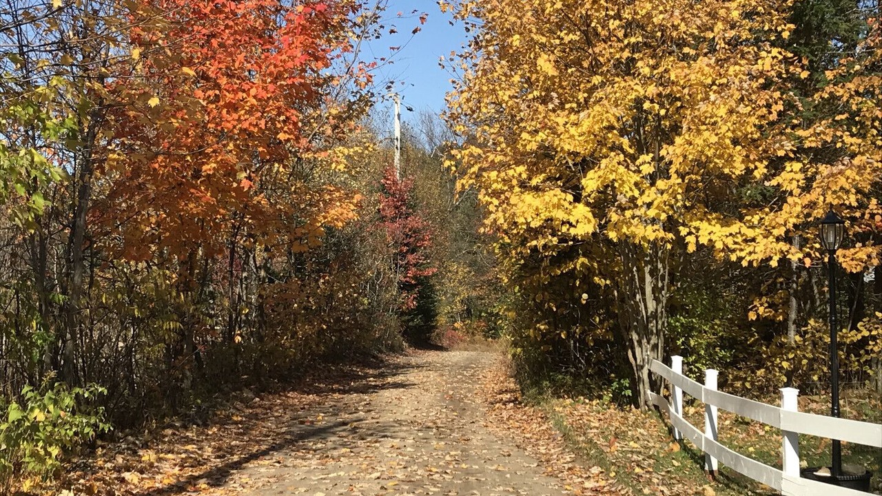 Photo of Outdoor in Amherst