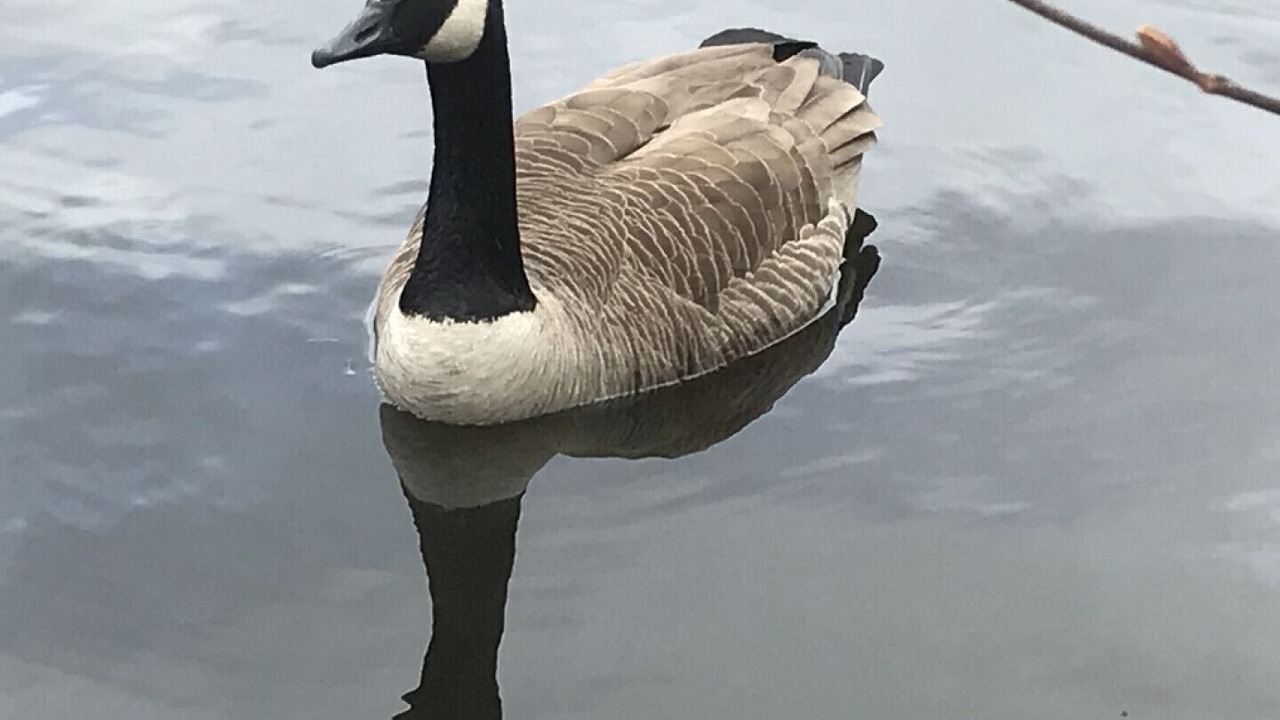 Photo of Others in Amherst