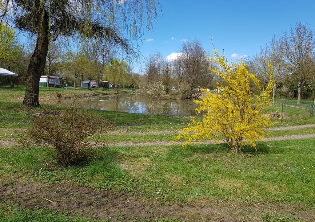 Photo of Outdoor in Chatel-Chehery
