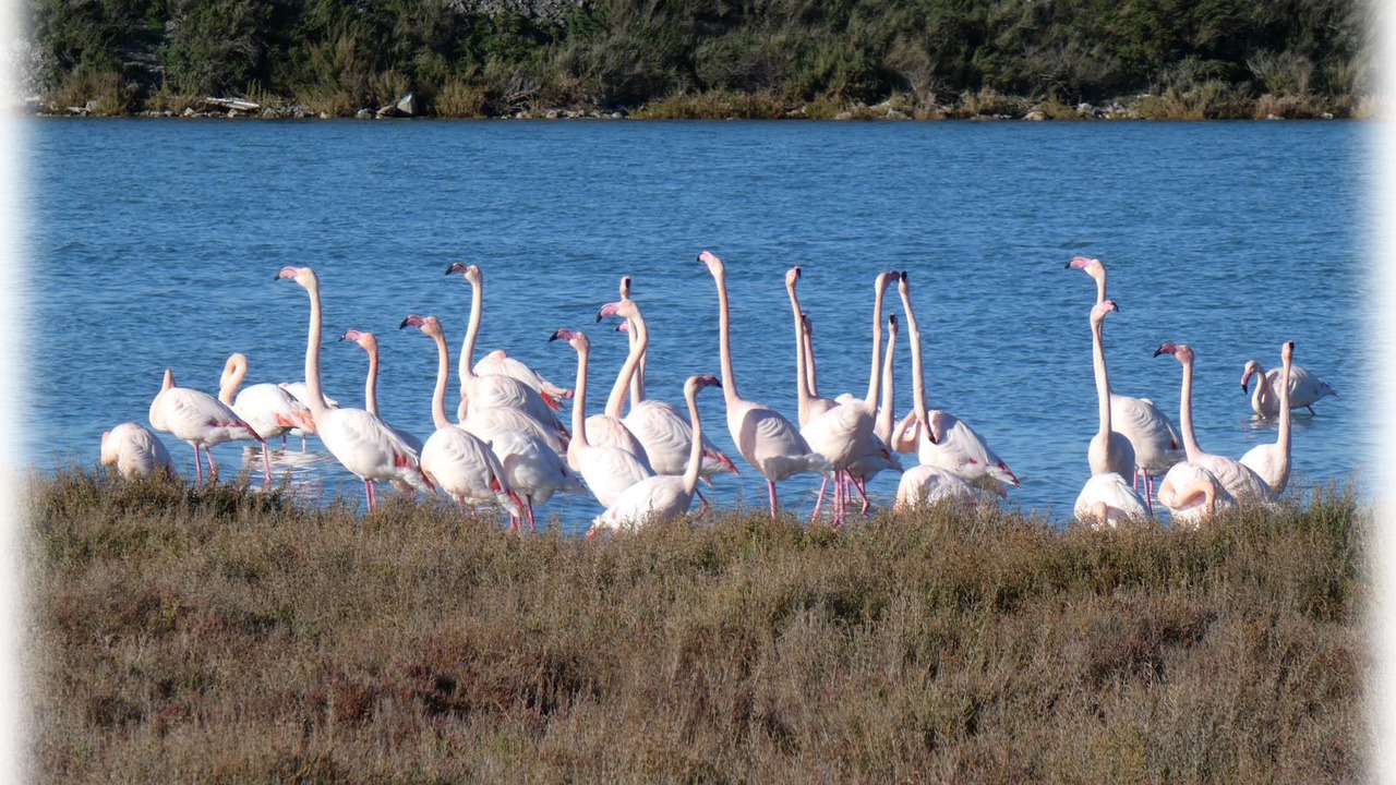 Photo of Outdoor in Vic-la-Gardiole