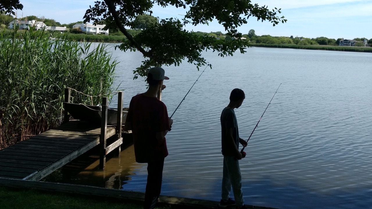 Photo of Others in Water Mill
