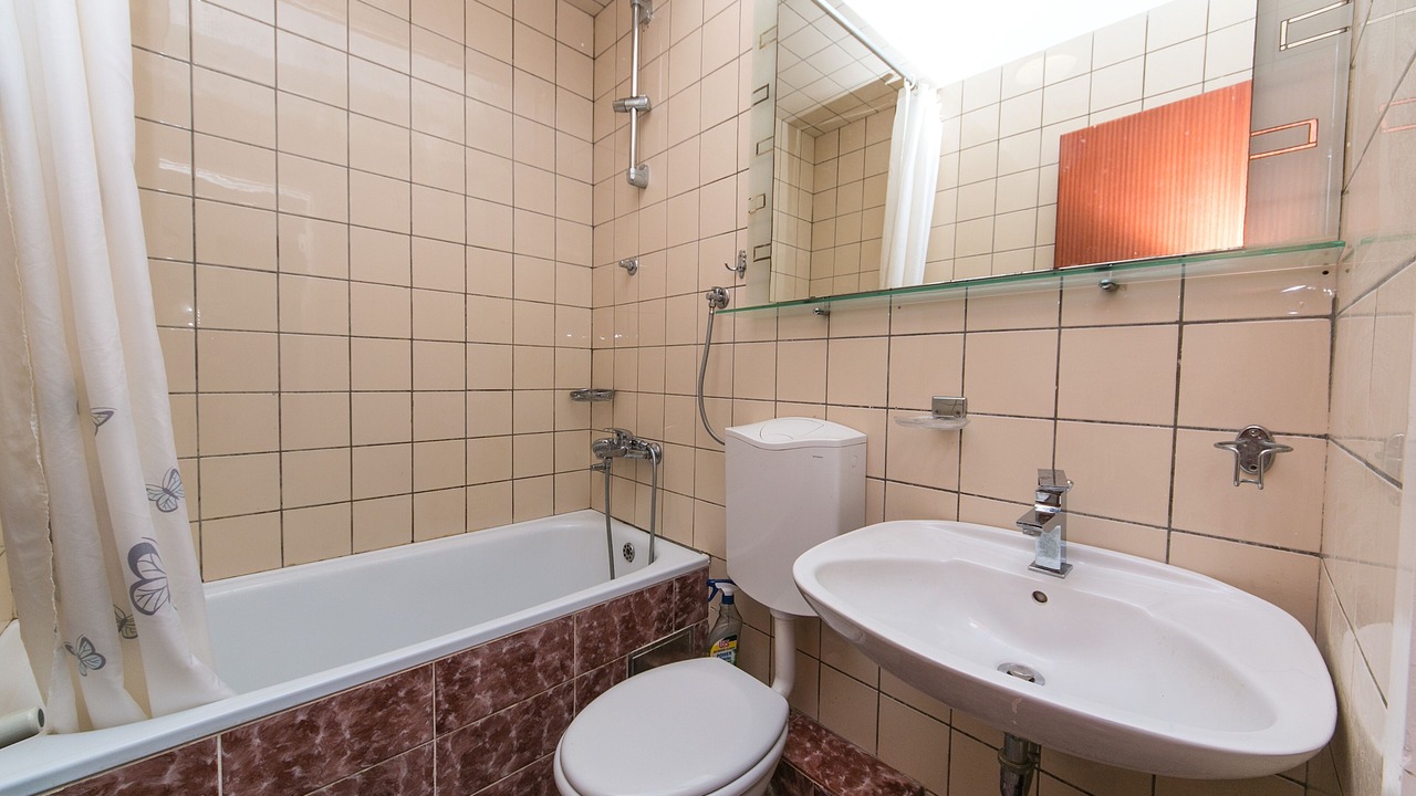 Photo of Bathroom in Brist