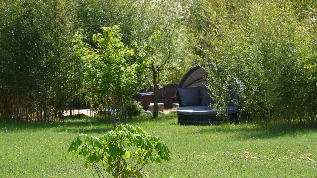 Photo of Outdoor in Erckartswiller