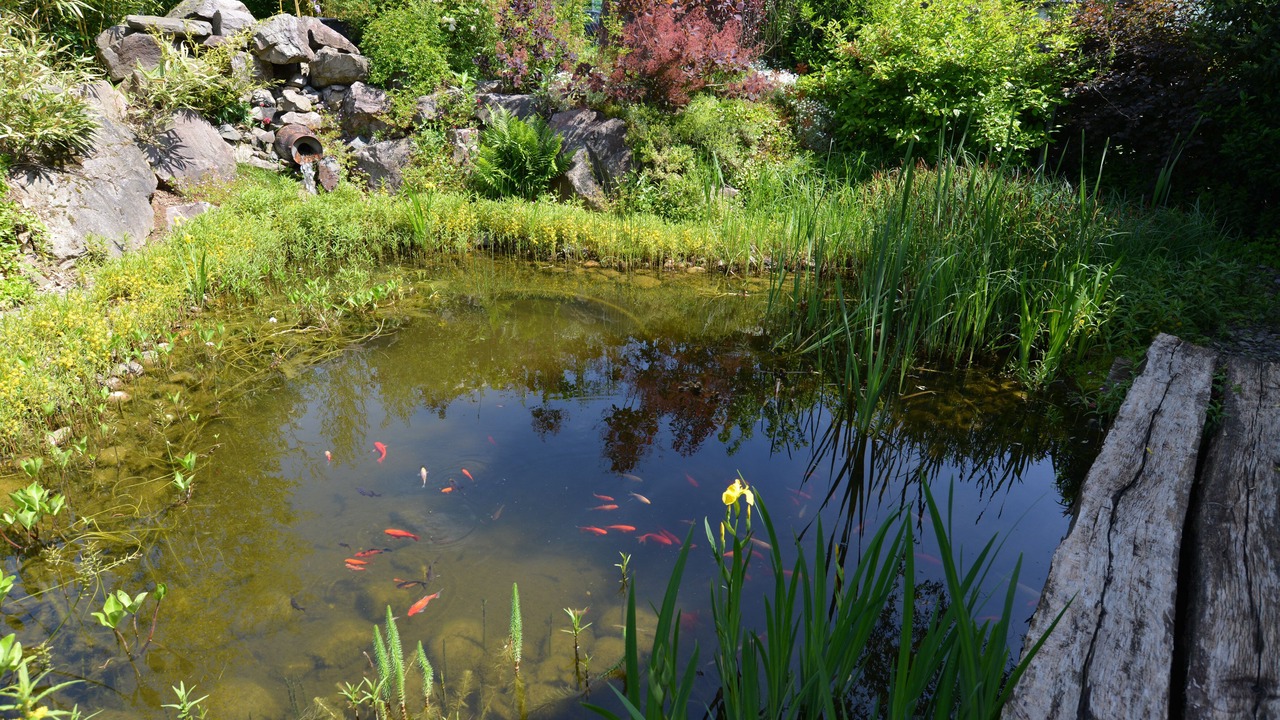 Photo of Outdoor in Erckartswiller