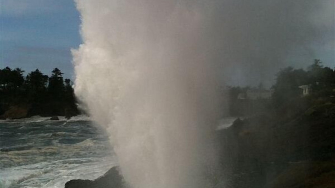 Photo of Others in Roads End