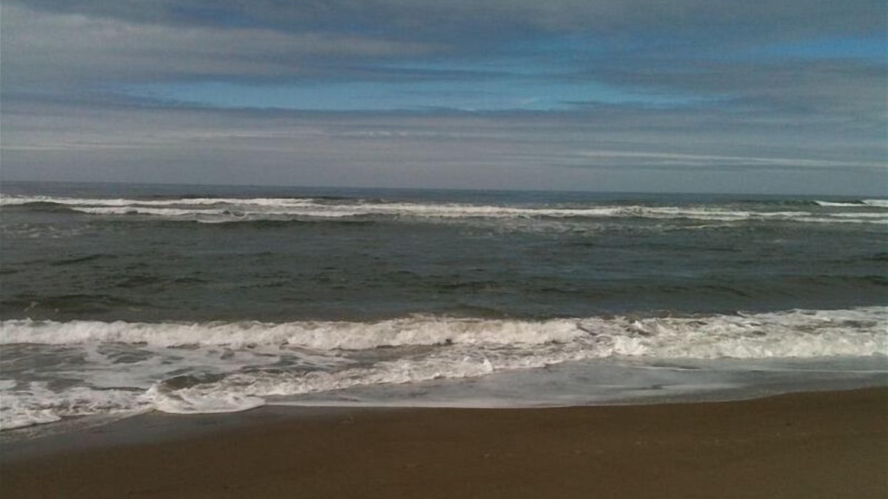 Photo of Others in Roads End