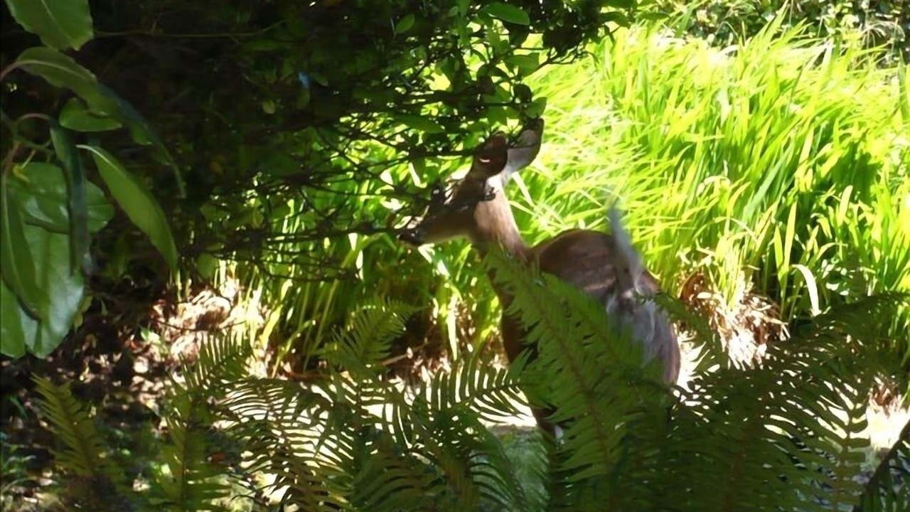 Photo of Others in Roads End