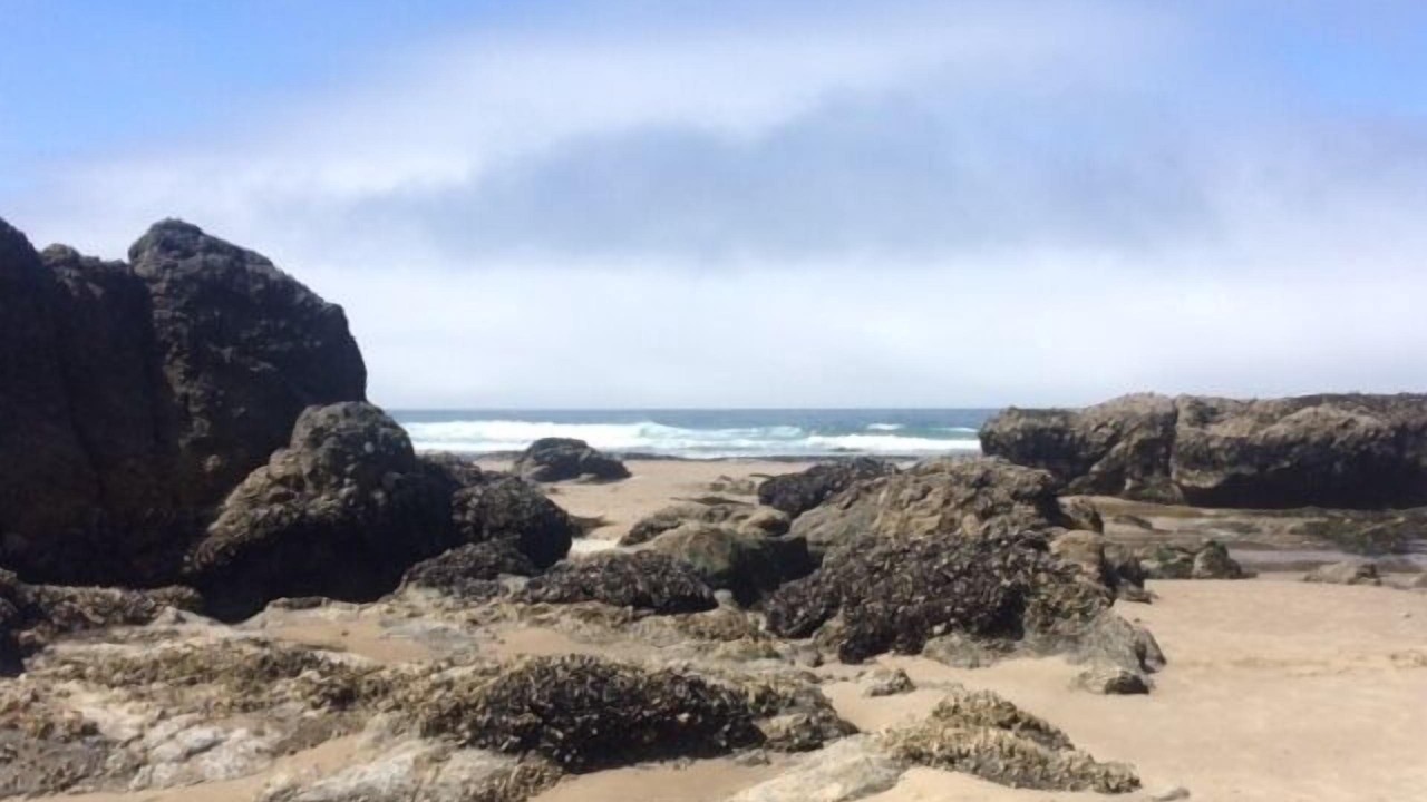 Photo of Others in Roads End