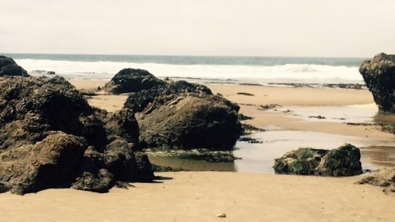 Photo of Others in Roads End