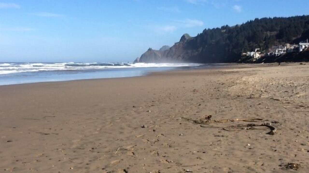 Photo of Others in Roads End