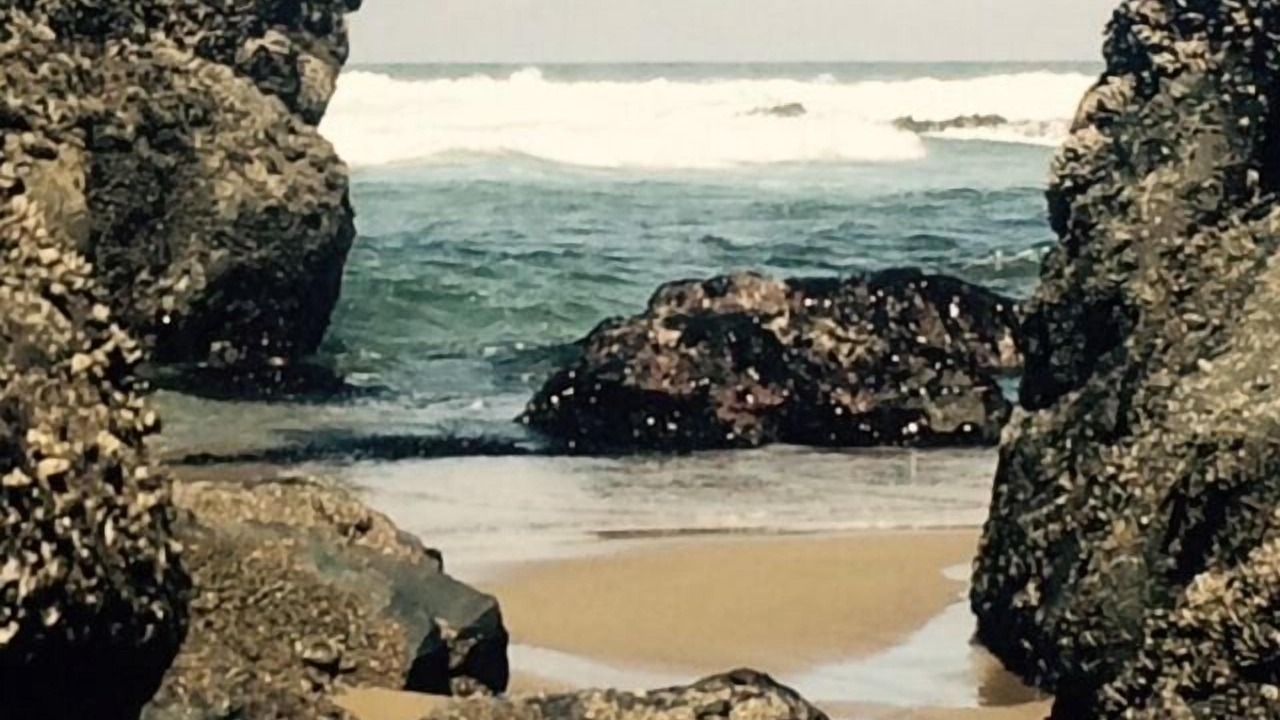 Photo of Others in Roads End