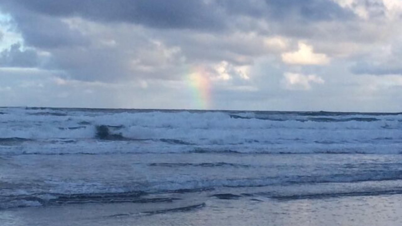 Photo of Others in Roads End