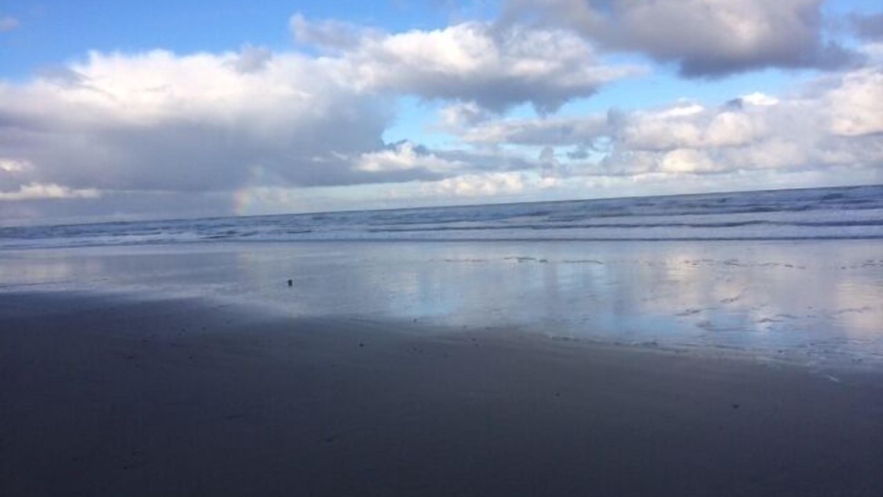 Photo of Others in Roads End