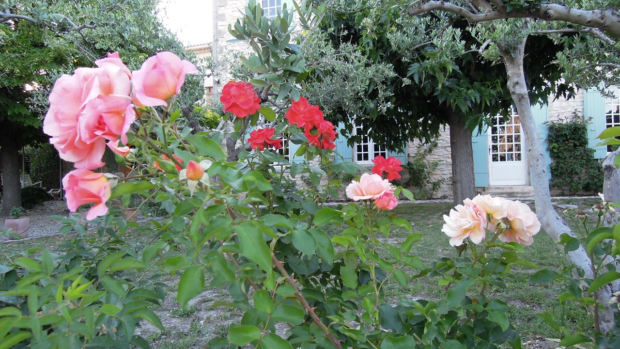 Photo of Outdoor in Tavel