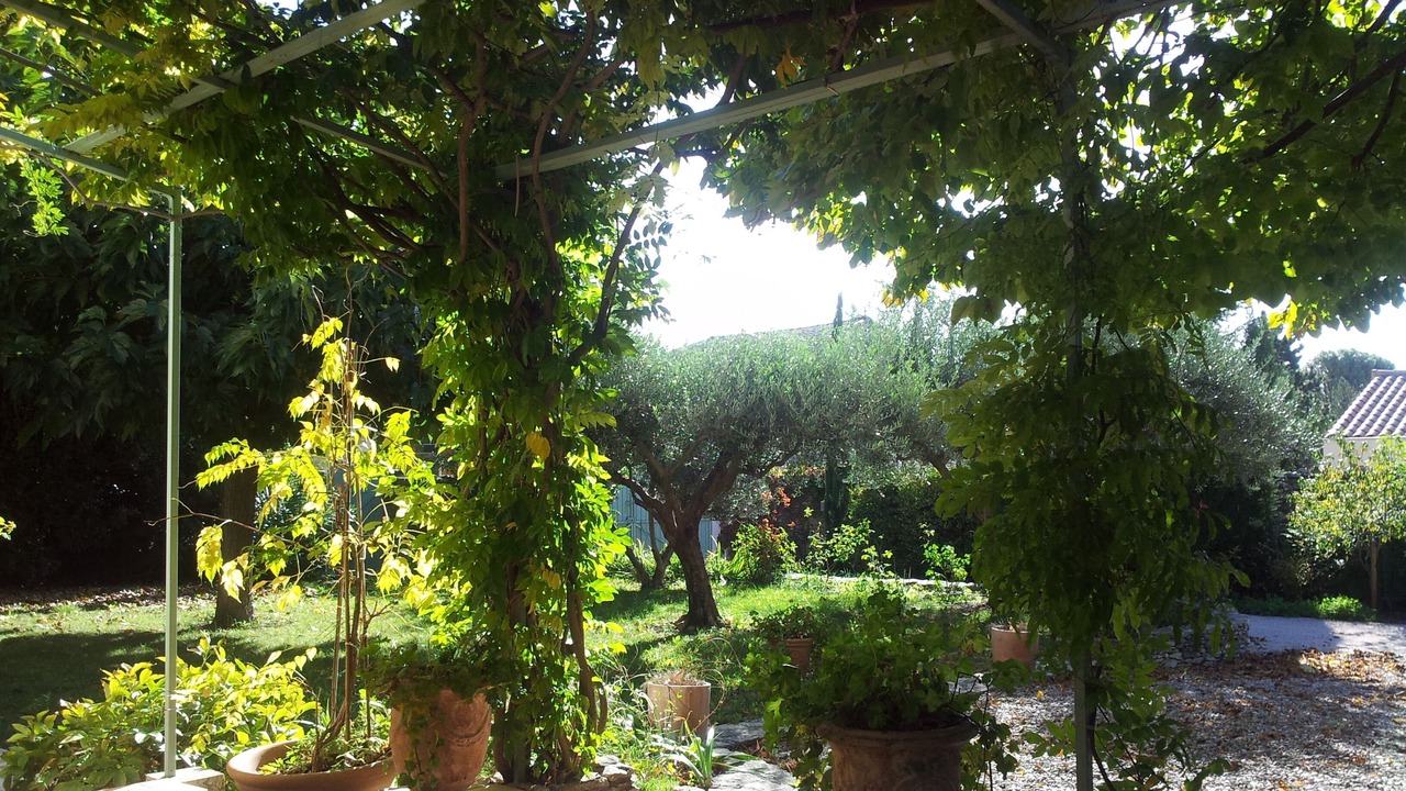 Photo of Outdoor in Tavel