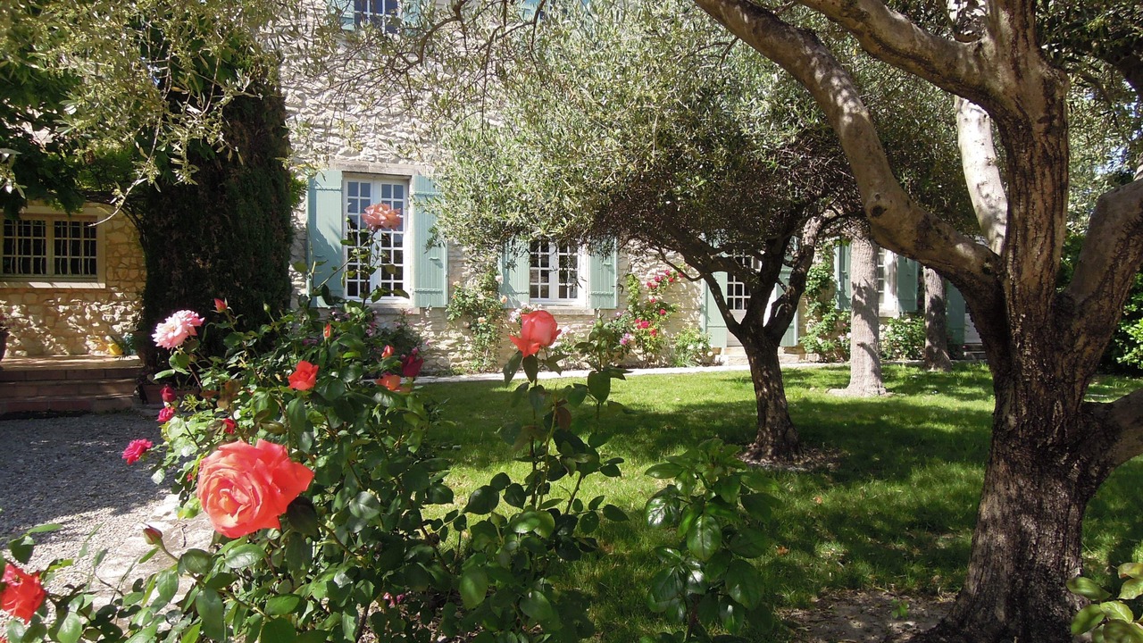 Photo of Outdoor in Tavel