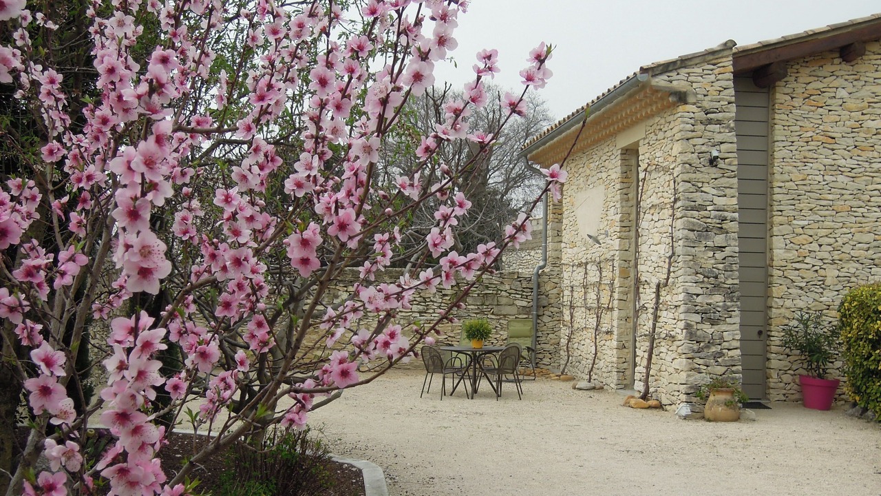 Photo of Patio Balcony in Tavel