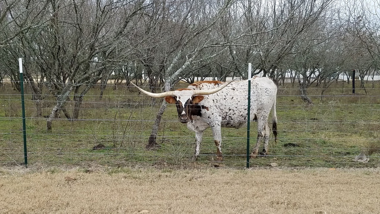 Photo of Others in Kyle